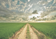 Grow More, Use Less: Innovations for a More Sustainable Agriculture Industry