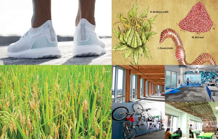 Green Chemistry News Roundup: February 18 -24, 2017