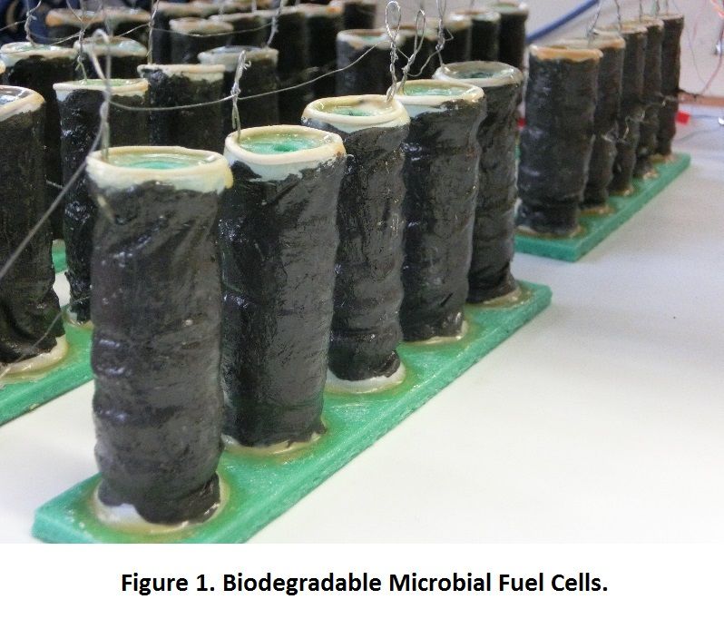 The Dawn of Biodegradable Robots