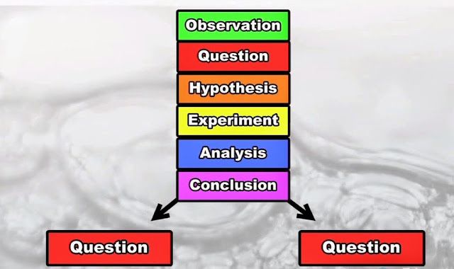 Scientific Method.jpg
