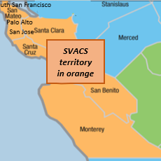 Silicon Valley Local Section