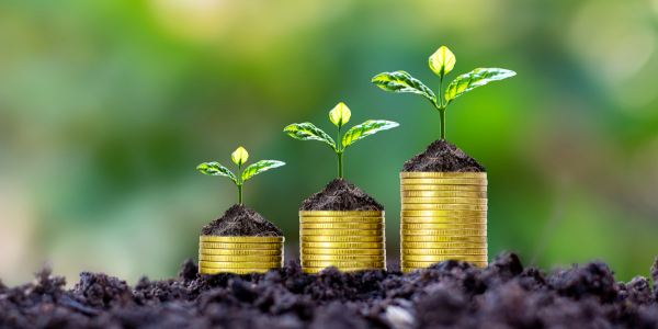New Report! The Funding Landscape of Green and Sustainable Chemistry